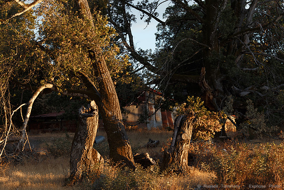 Lake Sonoma & Area