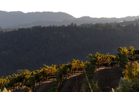 Lake Sonoma & Area