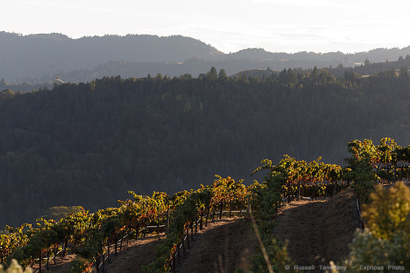 Lake Sonoma & Area