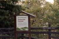Lake Sonoma & Area