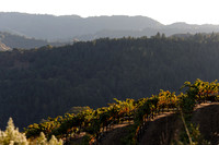 Lake Sonoma & Area