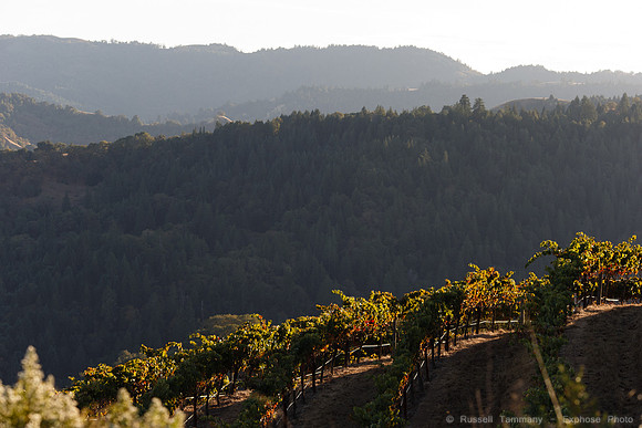 Lake Sonoma & Area