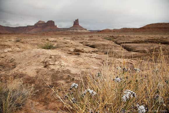 White Rim Trail, Canyonlands NP