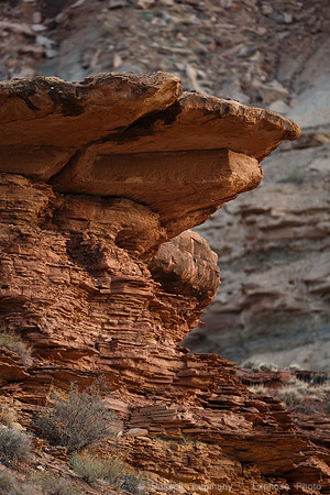 Hardscrabble Camp