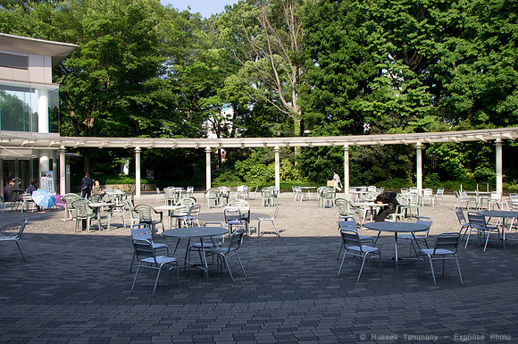 Meiji Jingu & Gardens