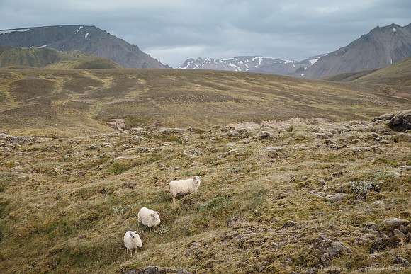 F208 Landmannalaugar