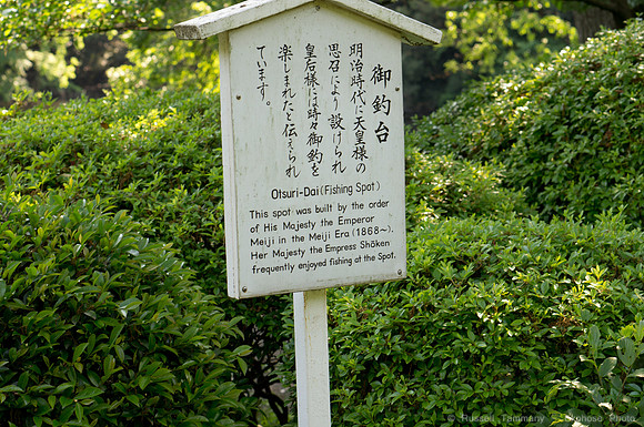 Meiji Jingu & Gardens