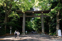 Meiji Jingu & Gardens
