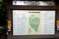 Meiji Jingu & Gardens