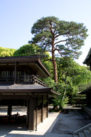 Meiji Jingu & Gardens