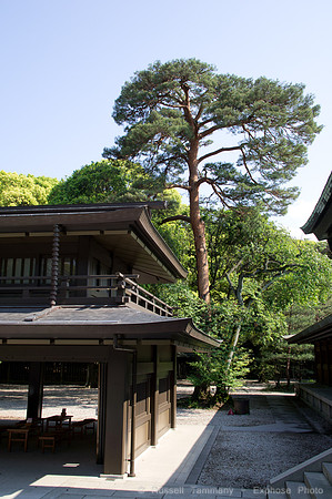 Meiji Jingu & Gardens