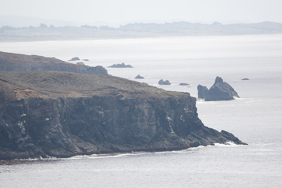 Jenner Headlands