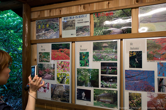 Meiji Jingu & Gardens
