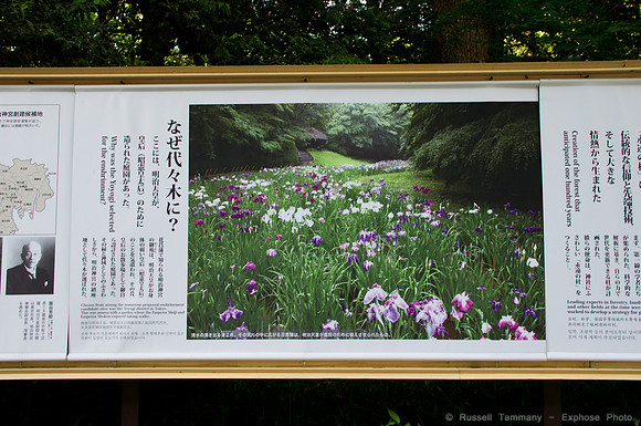 Meiji Jingu & Gardens