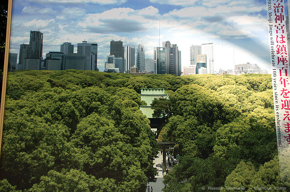 Meiji Jingu & Gardens