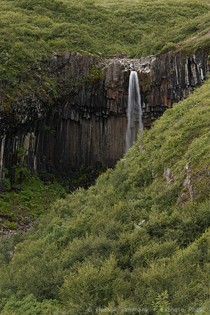 Svartifoss