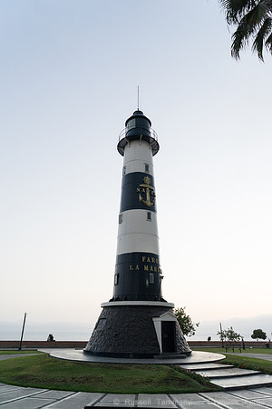 DSC09803