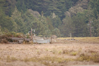 Jenner Headlands
