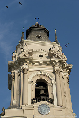 DSC09481