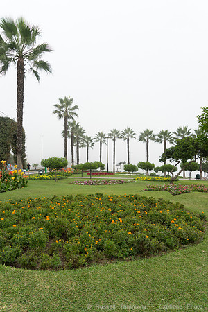DSC09614