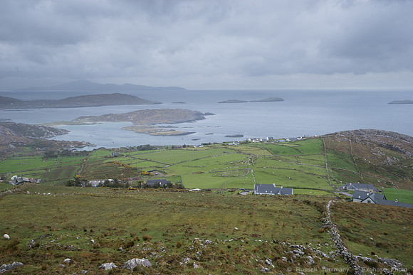 DSC03425