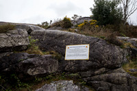DSC03099