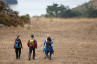 Jenner Headlands