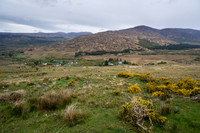 DSC03262