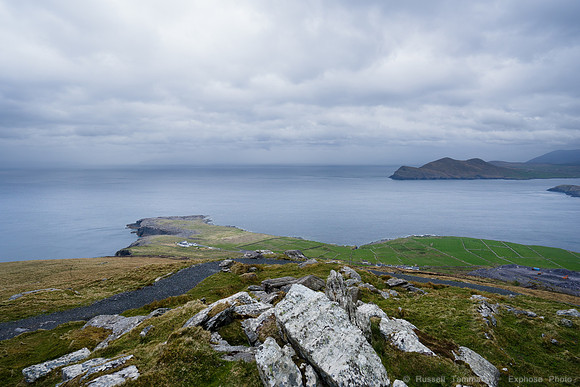 DSC03480