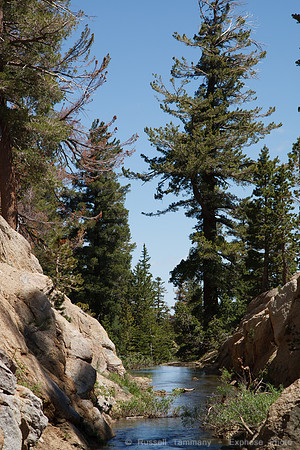 CA-4