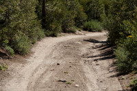CA-89