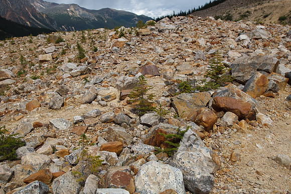 Jasper NP, AB