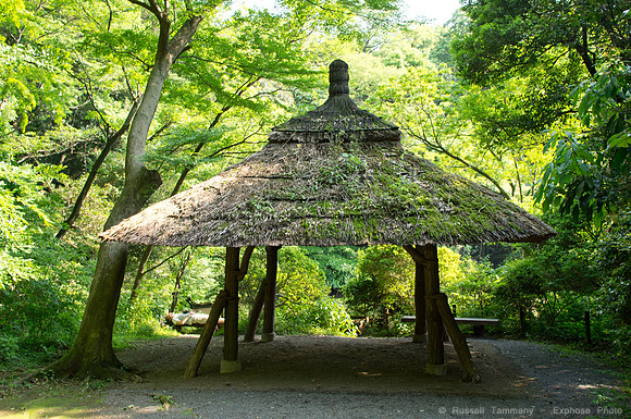 Meiji Jingu & Gardens