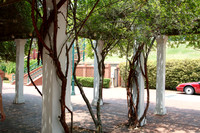 Augusta, GA