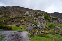 DSC03174