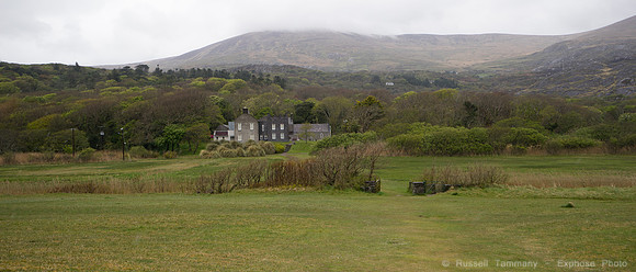 DSC03398
