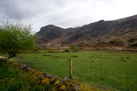 DSC03159