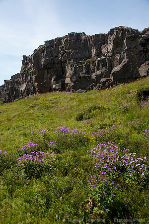 Þingvellir National Park
