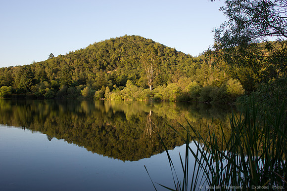 Spring Lake