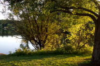 Spring Lake