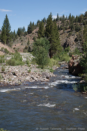 Wolf Creek Rd