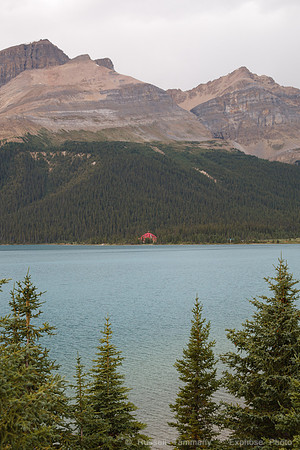 Banff NP, AB