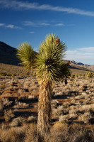 Death Valley NP Sunset