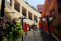 DSC02037