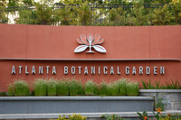 Piedmont Park Area