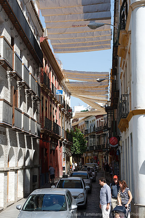 Seville