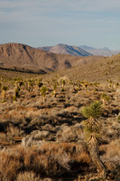 Death Valley NP Sunset