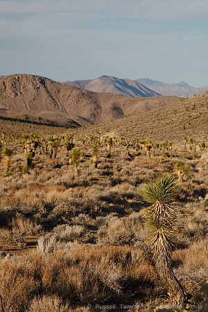 Death Valley NP Sunset