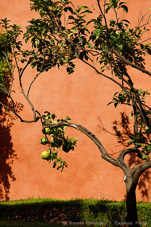 Seville - Alcazar