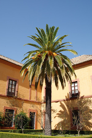Seville - Alcazar